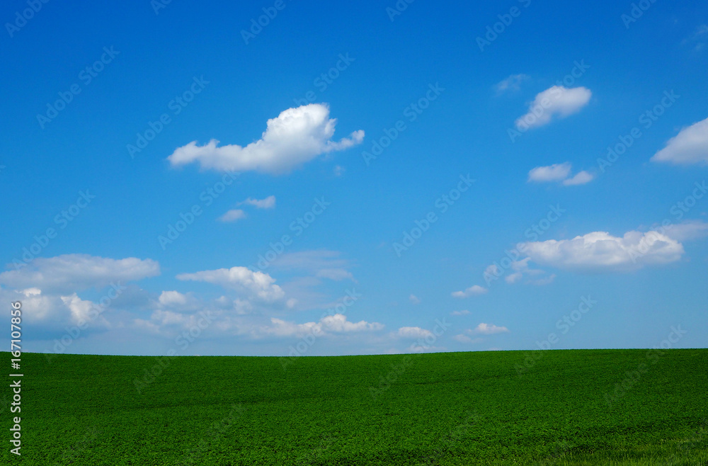 Background with a simple green field under blue sky with clouds Background with a simple green field under blue sky with clouds