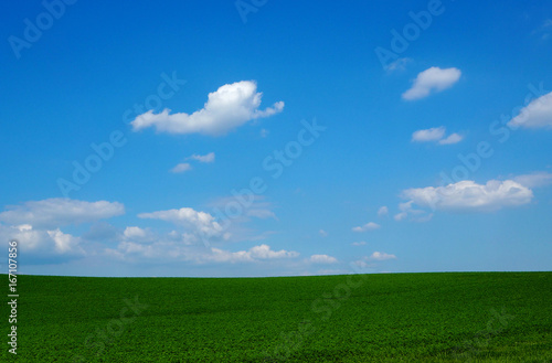 Background with a simple green field under blue sky with clouds