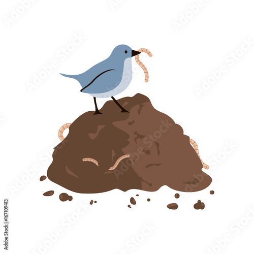 Bird Eating Worm