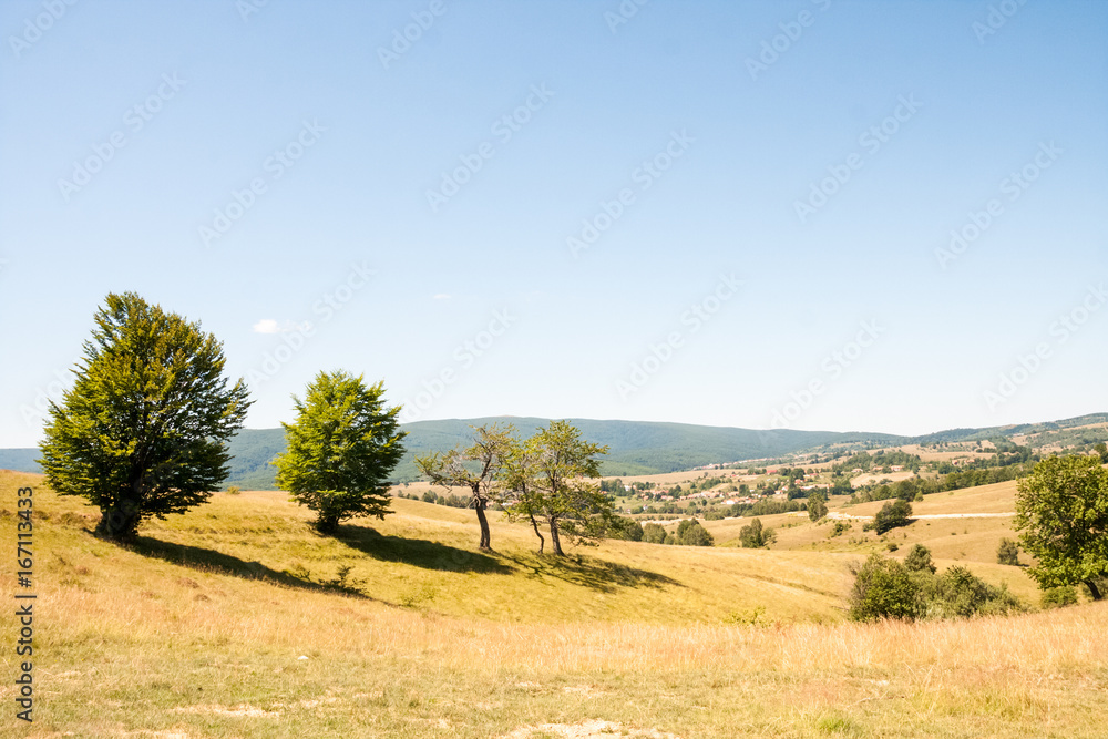 Romanian mountain landscape with trees