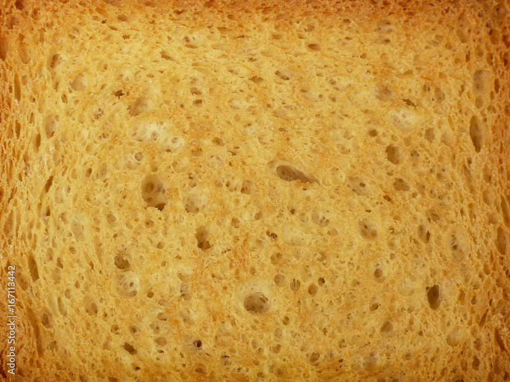 Toast Toast