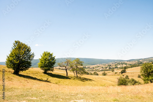 Romanian mountain landscape with trees