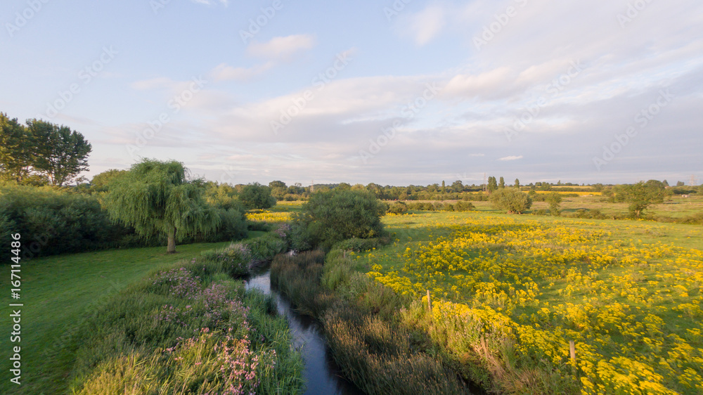 Yellow wild flowers in a field next to a river taken from a drone