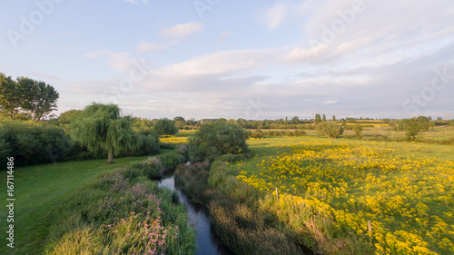 Yellow wild flowers in a field next to a river taken from a drone