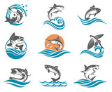 collection of different fish types with waves