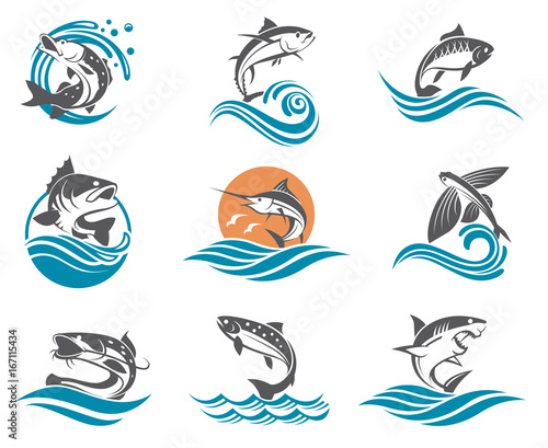 collection of different fish types with waves