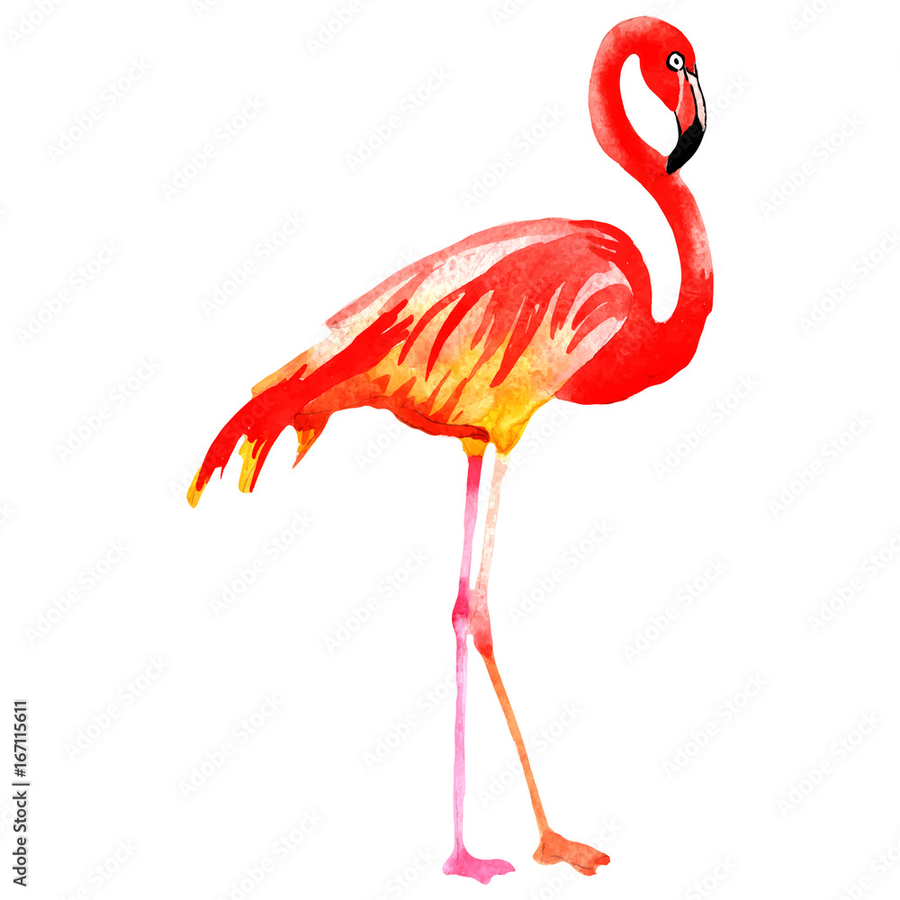 Fototapeta Sky bird flamingo in a wildlife by vectorr style isolated. Wild freedom, bird with a flying wings. Aquarelle bird for background, texture, pattern, frame, border or tattoo.