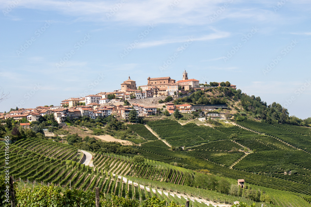 Vineyard in front of La Morra in Piedmont, Italy