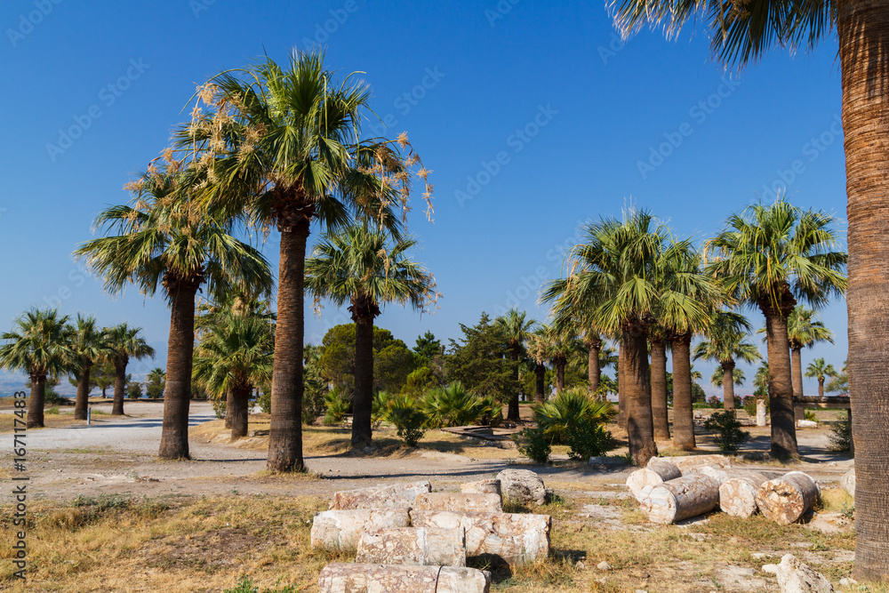 Photo of a landscape of palm trees and ruins Photo of a landscape of palm trees and ruins