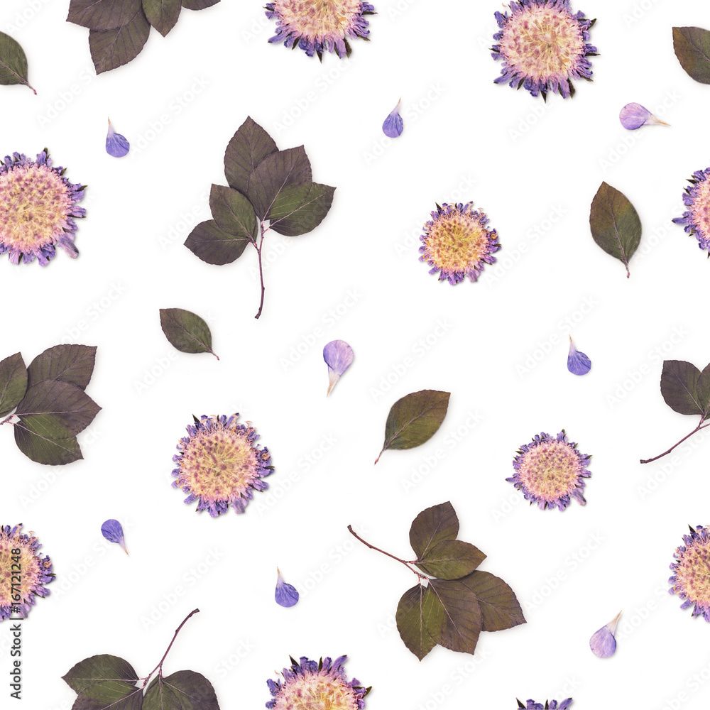 Pressed and dried flowers pattern