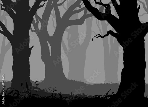 mysterious forest