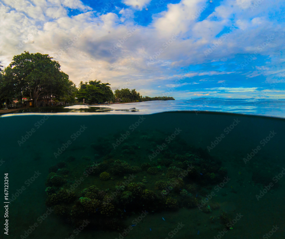 Obraz premium Double landscape with sea and sky. Above and below waterline in tropical seashore.