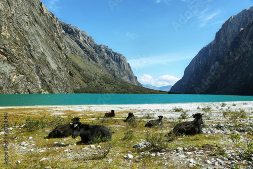 Shore of Llanganuco Orconcocha lake photo