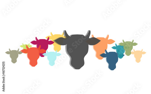 Viele bunte Rinderköpfe