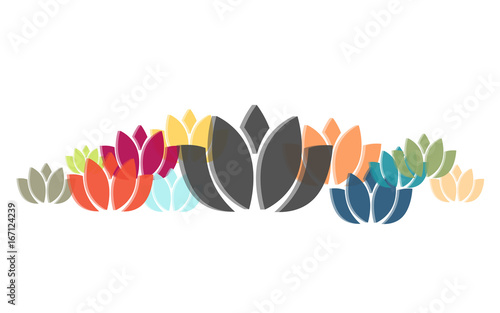 Viele bunte Lotusblüten