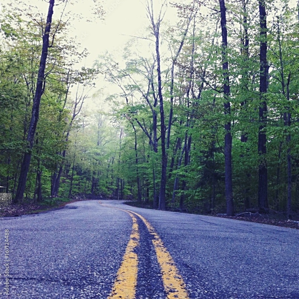 Fototapeta premium Country Road