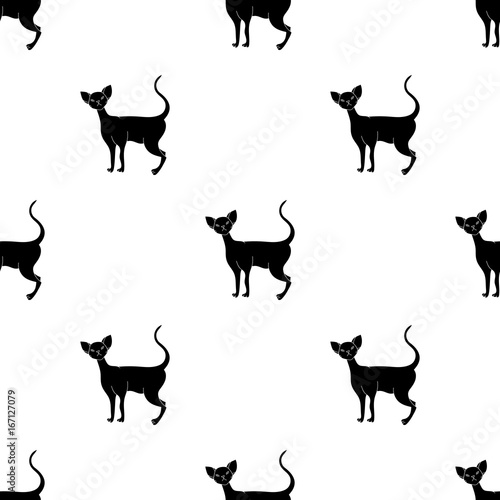 Cornish Rex icon in black style isolated on white background. Cat breeds symbol stock vector illustration.