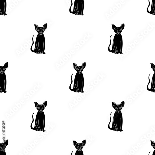 Peterbald icon in black style isolated on white background. Cat breeds symbol stock vector illustration.