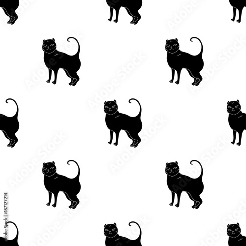 British Shorthair icon in black style isolated on white background. Cat breeds symbol stock vector illustration.
