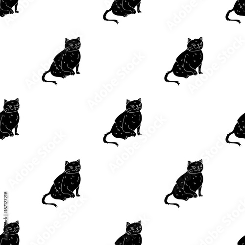 York Chocolate icon in black style isolated on white background. Cat breeds symbol stock vector illustration.