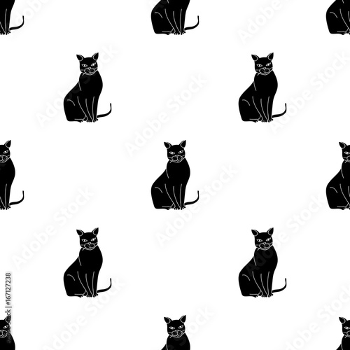 Chartreux icon in black style isolated on white background. Cat breeds symbol stock vector illustration.