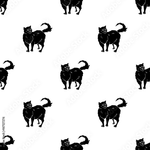 Persian icon in black style isolated on white background. Cat breeds symbol stock vector illustration.