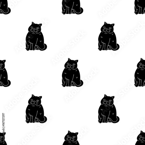 Exotic Shorthair icon in black style isolated on white background. Cat breeds symbol stock vector illustration.