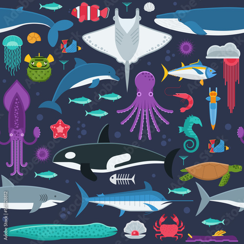 Sea life pattern with different marine animals. Underwater creatures vector seamless background with ocean aquatic inhabitants and exotic fishes in flat design. Whale, dolphin, orca, octopus, squid.