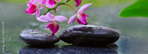 Fototapeta Naklejka Na Ścianę i Meble -  Black spa stones and pink orchids. Wellness background.
