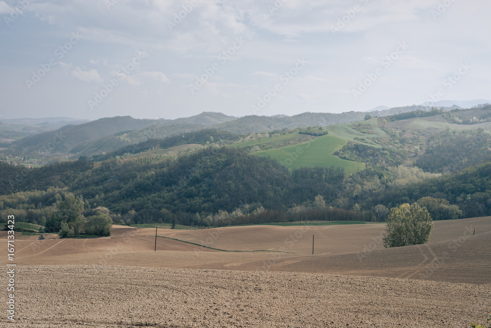 Fototapeta premium Oltrepo Pavese, Province of Pavia, Lombardy, Italy.