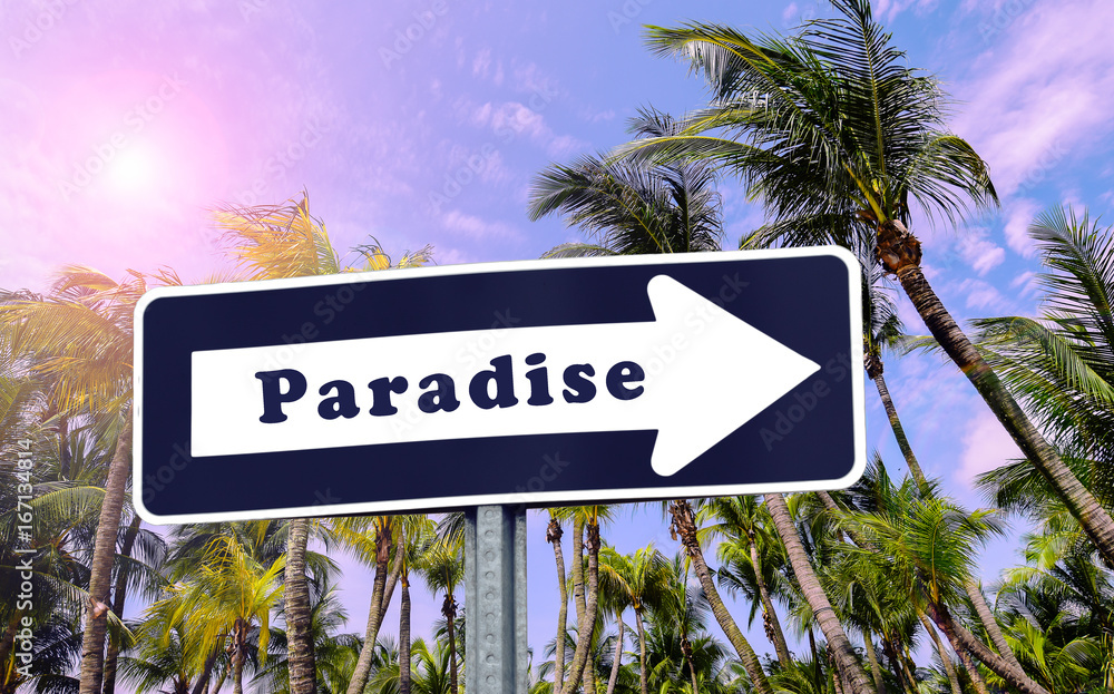 Fototapeta premium Paradise arrow sign.