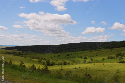 summer day forest field clouds sunset travel cloudy summer fog day timelapse time lapse air white storm view cloudscape weather sun mountains sky clouds mountain cloud blue nature sunset landscape © Елена Пахмутова