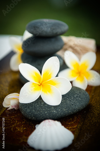  Spa stones with frangipani - Tropical atmosphere 