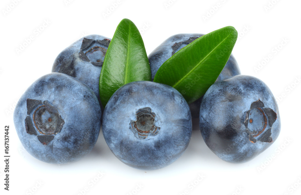 blueberries with green leaf isolated on white background. macro blueberries with green leaf isolated on white background. macro