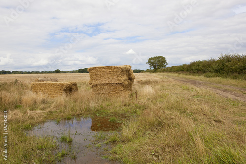 straw bale and rain puddle