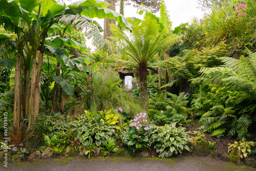Flowers in a garden in Cornwall at summertime Flowers in a garden in Cornwall at summertime