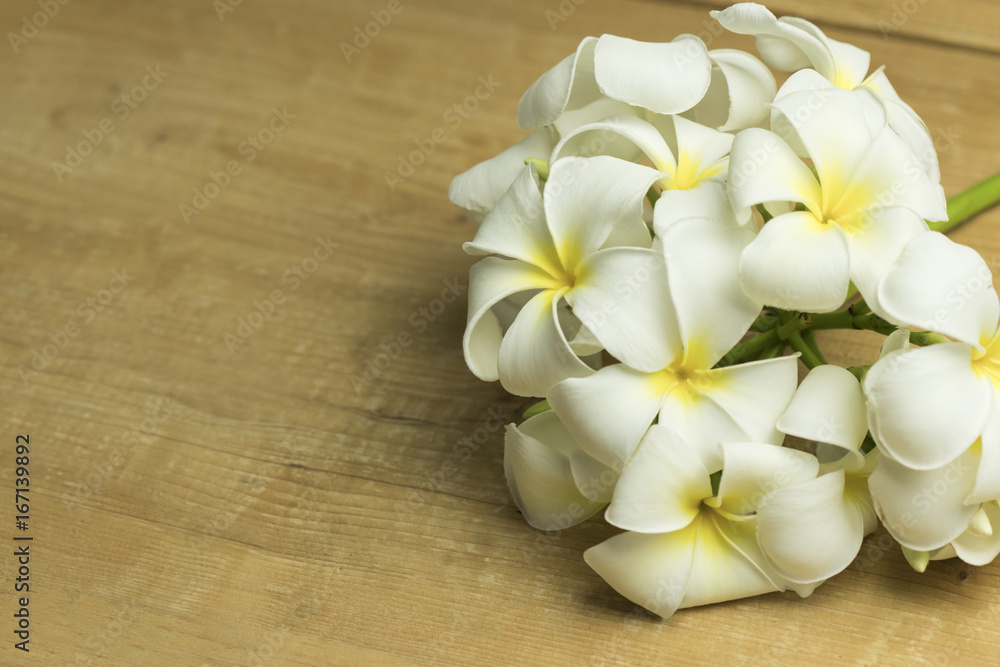 Beautiful frangipani flower on wooden table. copy space Beautiful frangipani flower on wooden table. copy space