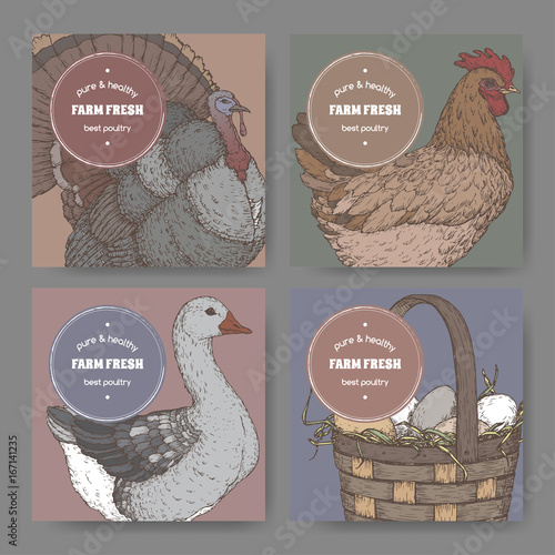 Four labels with hand drawn color poultry sketches.