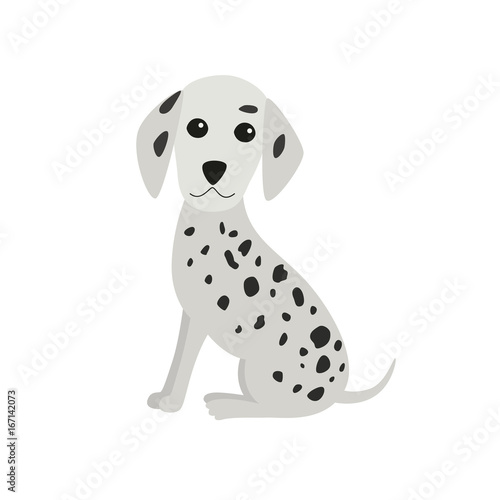 Dalmatian dog sitting