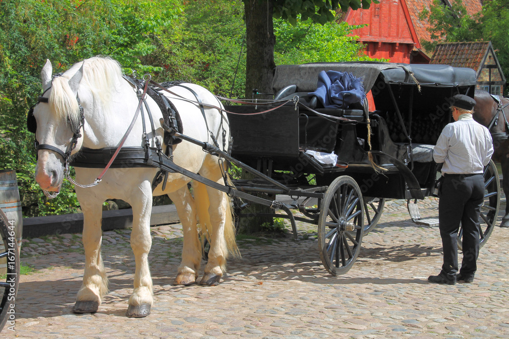 Horses in front of old carriage Horses in front of old carriage
