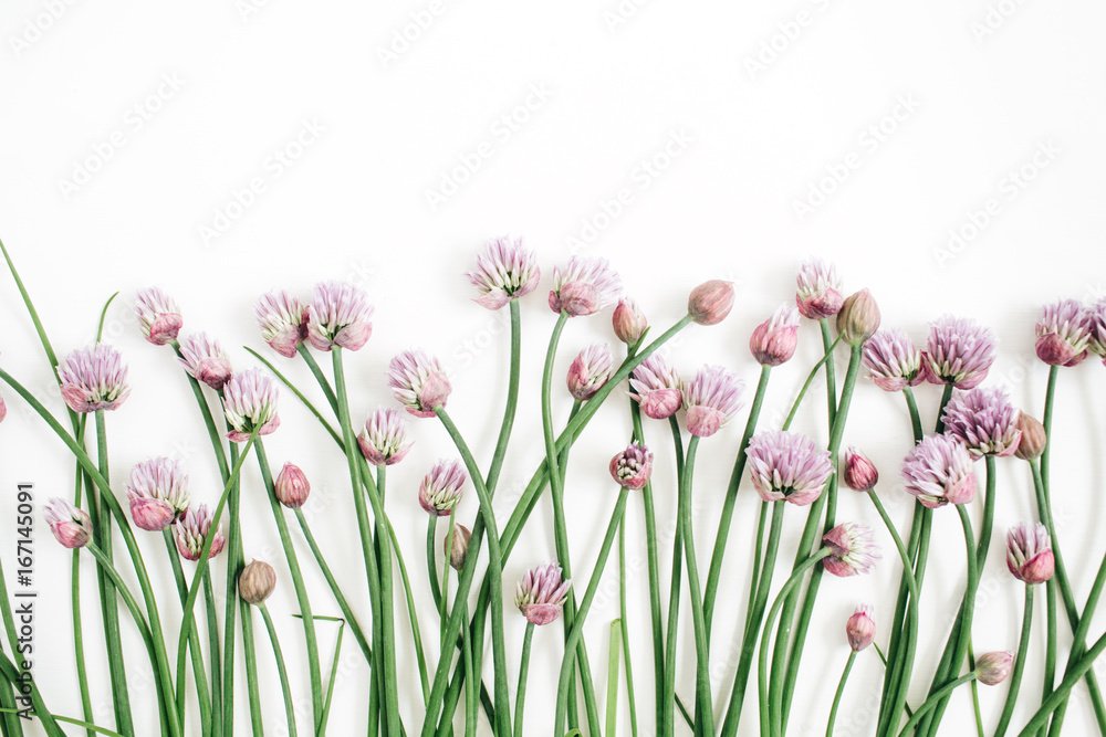 Floral pattern with wild flower, green leaves, branches on white background. Flat lay, top view. Valentine's background Floral pattern with wild flower, green leaves, branches on white background. Flat lay, top view. Valentine's background