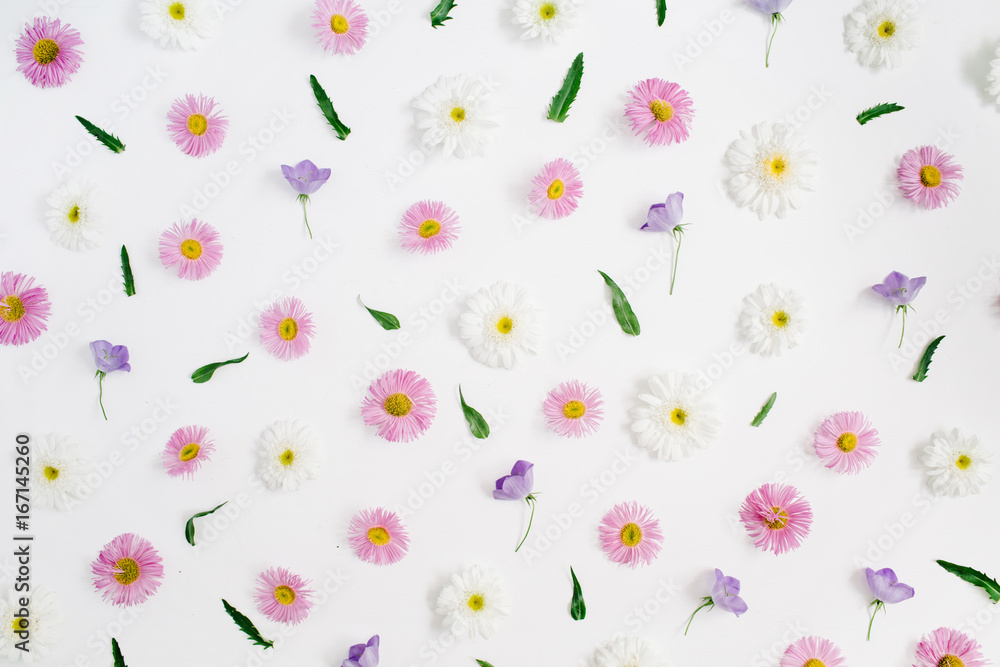 Floral pattern made of white and pink chamomile daisy flowers, green leaves on white background. Flat lay, top view. Daisy background. Pattern of flower buds. Floral pattern made of white and pink chamomile daisy flowers, green leaves on white background. Flat lay, top view. Daisy background. Pattern of flower buds.
