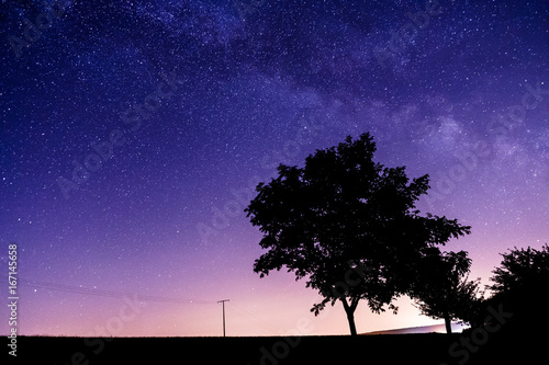 Milky way and the stars over a tree