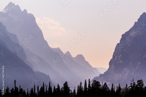 Grand Tetons: tree line silhouette