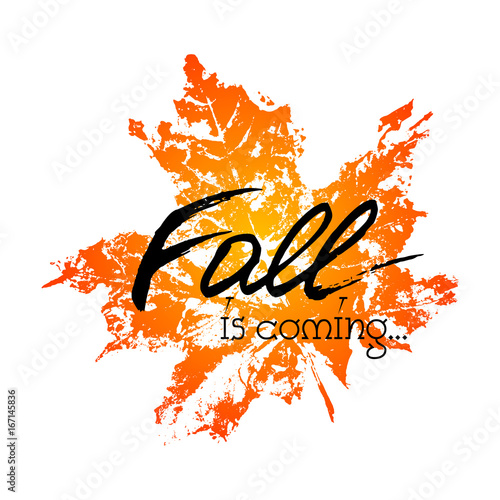 Card with hand written lettering Fall is coming with imprint of autumn orange leaf of maple on white background. Vector illustration