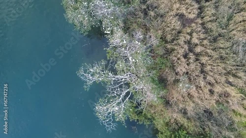 Pássaros voando sobre as águas do Rio Paranaíba, divisa entre Goiás e Minas Gerais  photo