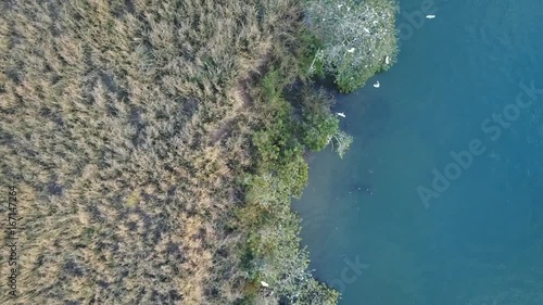 Pássaros voando sobre as águas do Rio Paranaíba, divisa entre Goiás e Minas Gerais  photo