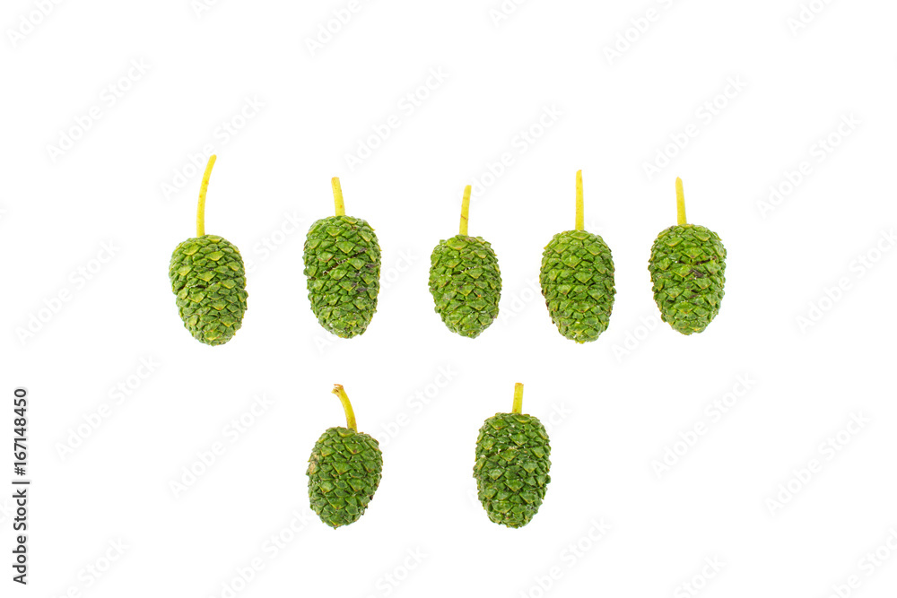 Alders fruits on white background