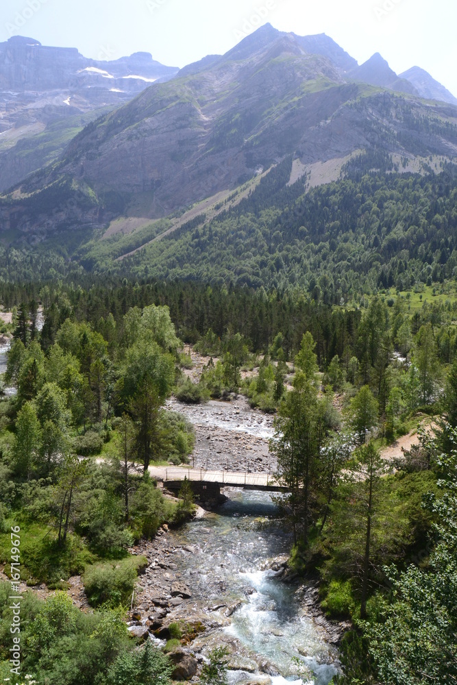 Fototapeta premium un pont dans la montagne