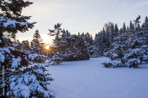 Canadian Winter sunshine